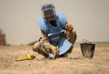 注册、收购和抢注一个域名,你需要一步一步排雷-米米地域名